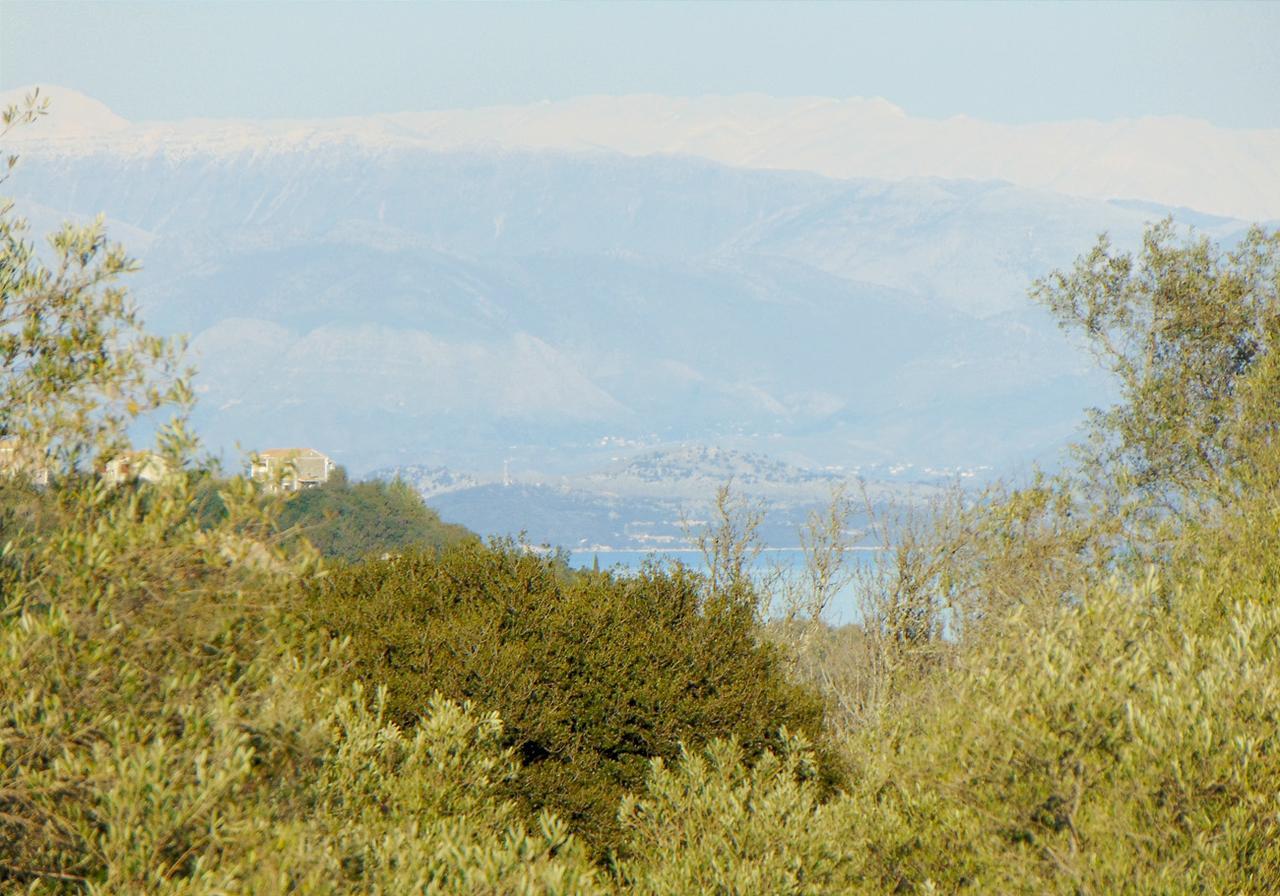 Ágios Ioánnis Classical Villa Anta חדר תמונה